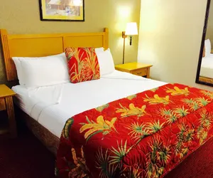 Photo 4 - Caliente Tropics Hotel