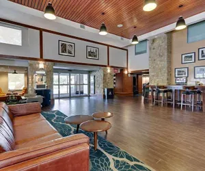 Photo 3 - Wyndham Garden San Antonio Airport Northeast