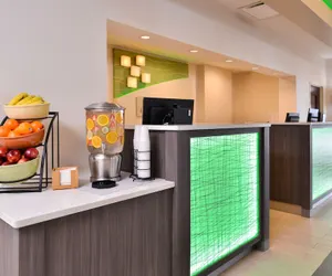 Photo 3 - Holiday Inn Hotel & Suites Rochester - Marketplace, an IHG Hotel