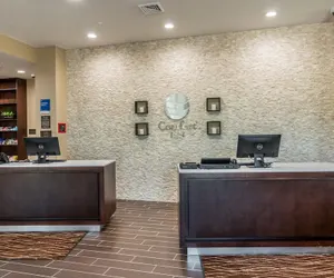 Photo 4 - Comfort Inn Edwardsville - St. Louis