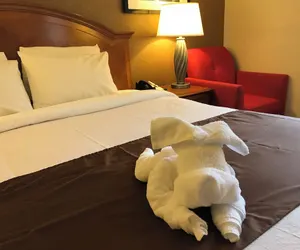 Photo 3 - Americas Best Value Inn Lynnwood Seattle