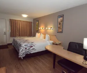 Photo 4 - Red Roof Inn Buffalo – Hamburg/ I-90