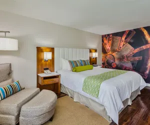 Photo 5 - Hotel Indigo Anaheim by IHG