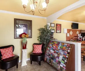 Photo 5 - Econo Lodge Inn & Suites San Antonio near Frost Bank Center