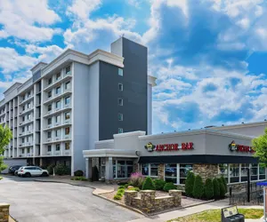 Photo 2 - Holiday Inn Niagara Falls State Park Entry