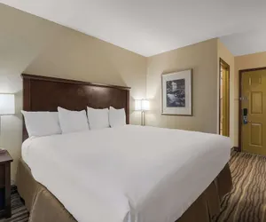 Photo 5 - Best Western Cottage Grove Inn