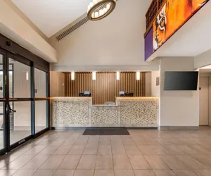 Photo 5 - Comfort Inn & Suites Clemson - University Area