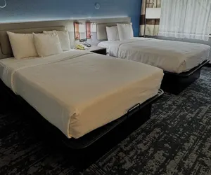 Photo 3 - Comfort Inn & Suites Madison - Airport