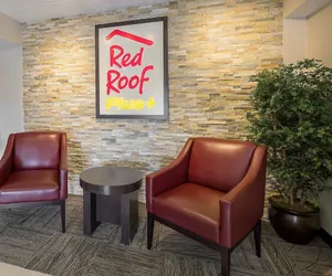 Photo 4 - Red Roof Inn PLUS+ Boston - Framingham