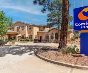 Photo 2 - Comfort Inn Payson