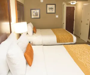 Photo 5 - Comfort Inn Atlanta Airport