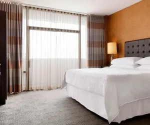 Photo 5 - Sheraton Charlotte Hotel