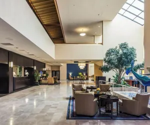 Photo 3 - Sheraton Norfolk Waterside Hotel