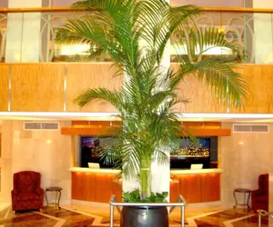 Photo 3 - San Carlos Hotel