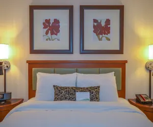 Photo 5 - San Carlos Hotel