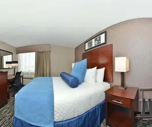 Photo 5 - Wyndham Garden Elk Grove Village/O'Hare