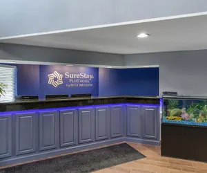 Photo 5 - SureStay Plus Hotel by Best Western Asheboro