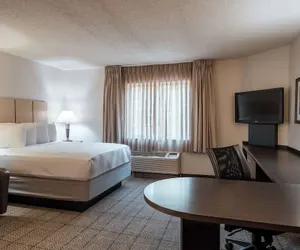 Photo 3 - Sonesta Simply Suites Dallas Richardson