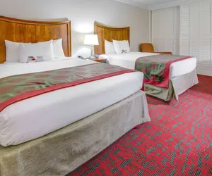 Photo 2 - Ramada by Wyndham Metairie New Orleans Airport