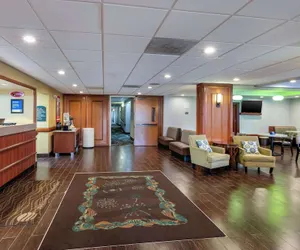 Photo 5 - Comfort Inn Anaheim Resort