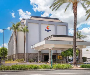 Photo 2 - Comfort Inn Anaheim Resort