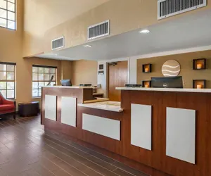 Photo 5 - Comfort Inn Ocala Silver Springs