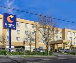 Photo 2 - Comfort Inn & Suites Seattle North