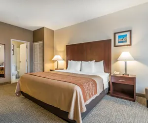 Photo 5 - Comfort Inn & Suites Seattle North