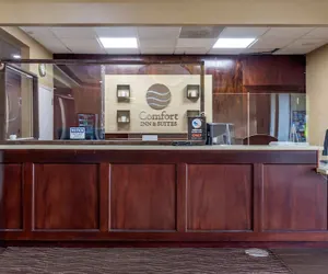 Photo 4 - Comfort Inn & Suites Seattle North
