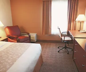 Photo 5 - La Quinta Inn & Suites by Wyndham Stamford / New York City