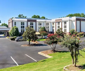 Photo 2 - Comfort Inn Greenville - Haywood Mall