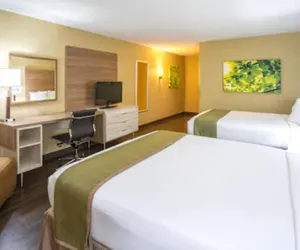 Photo 5 - Wyndham Garden Washington DC Area