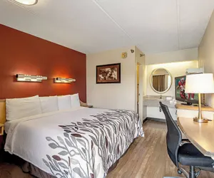 Photo 4 - Red Roof Inn Utica