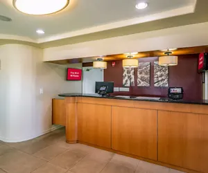 Photo 3 - Red Roof Inn Orlando South - Florida Mall
