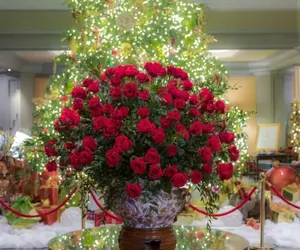 Photo 2 - The Windsor Court