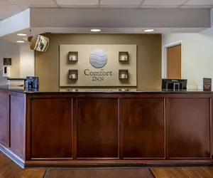 Photo 5 - Comfort Inn Laurinburg