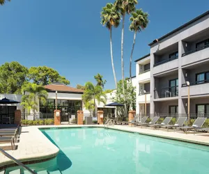 Photo 2 - Courtyard St. Petersburg Clearwater
