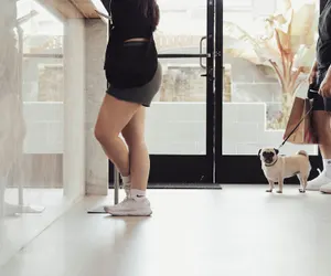 Photo 4 - The Dixie Hollywood