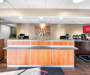 Photo 3 - Red Roof Inn Indianapolis North - College Park