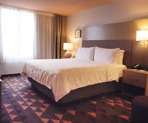 Photo 5 - Wyndham Houston Hobby Airport
