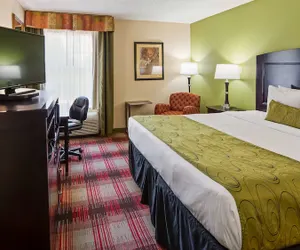 Photo 5 - Best Western Plus Addison/Dallas Hotel