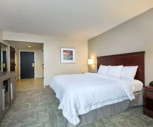 Photo 5 - Hampton Inn Houston-Near The Galleria