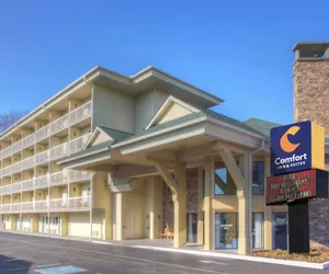 Photo 2 - Comfort Inn & Suites At Dollywood Lane