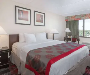 Photo 5 - Ramada Plaza by Wyndham Albany