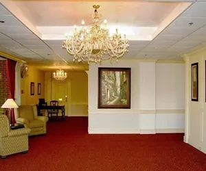 Photo 5 - Amsterdam Hotel