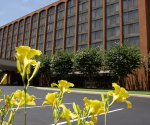 Photo 2 - Wyndham Garden Williamsburg Busch Gardens Area