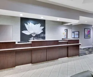 Photo 5 - La Quinta Inn & Suites by Wyndham Dallas North Central