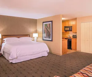 Photo 5 - Sheraton Springfield Monarch Place Hotel