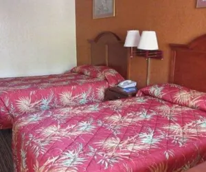 Photo 5 - Rodeway Inn