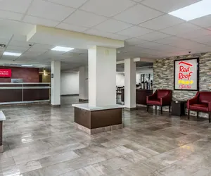 Photo 4 - Red Roof Inn PLUS+ & Suites Houston - IAH Airport SW
